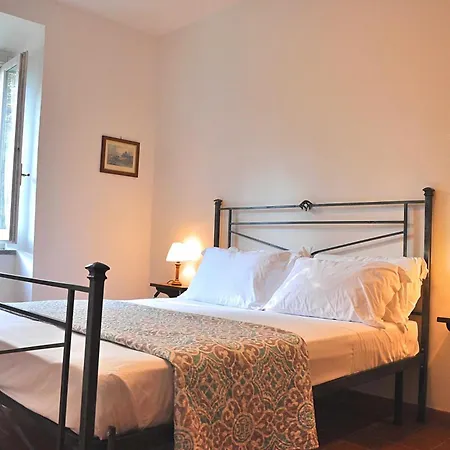 Montecasciano - Papavero *